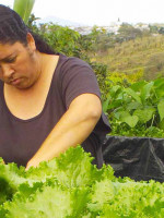 Trabajo decente por la igualdad