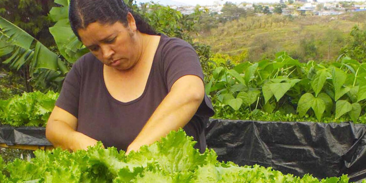 Trabajo decente por la igualdad