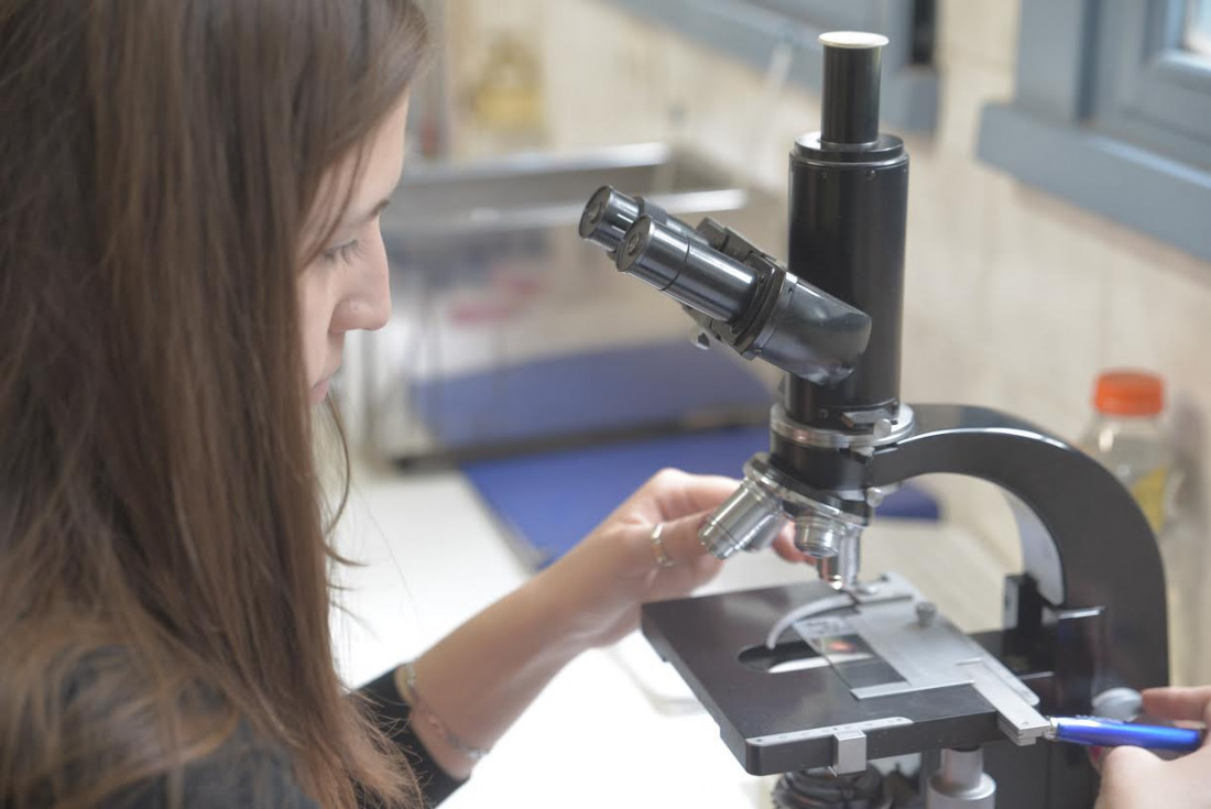 La UNCuyo brindará becas para investigar y estudiar posgrados