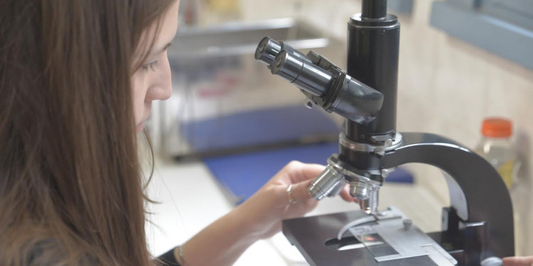 La UNCuyo brindará becas para investigar y estudiar posgrados 