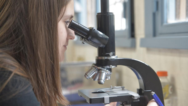 imagen Ciencia: muchos investigadores pero poco dinero para investigar