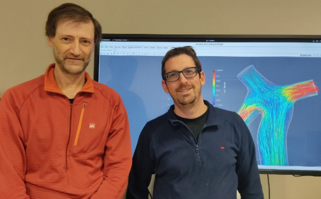 Medicina y Física se unen para crear un sistema para planificar cirugías con imágenes 3D