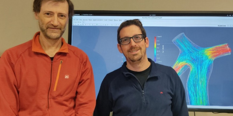 Medicina y Física se unen para crear un sistema para planificar cirugías con imágenes 3D