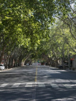 Las provincias protegen sus árboles con programas de cultivo, reforestación y conservación