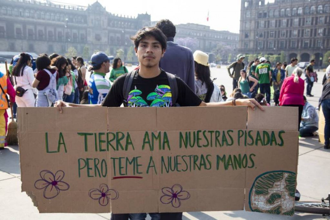 Cambio climático: el Gobierno lanzó una consulta pública para mejorar la estrategia nacional 