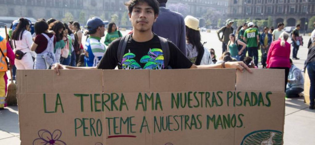 Cambio climático: el Gobierno lanzó una consulta pública para mejorar la estrategia nacional 