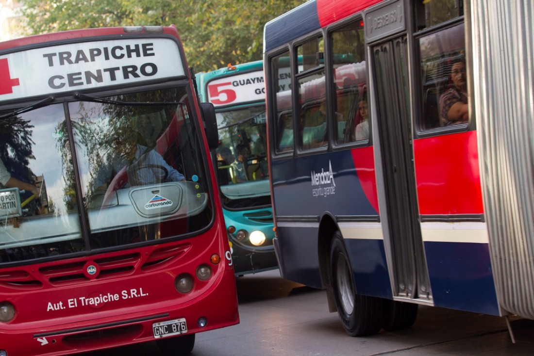 PASO 2017: Se podrá viajar gratis en colectivo y las frecuencias serán de día hábil