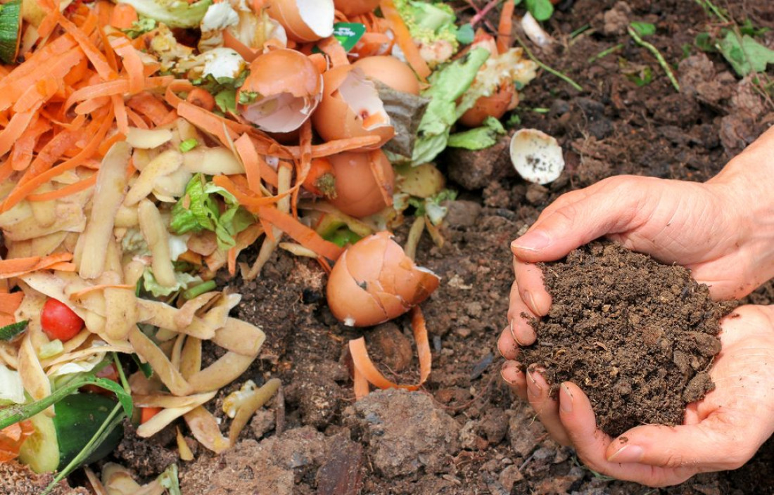 Plan de Compostaje Institucional: crean un manual práctico para gestionar residuos orgánicos