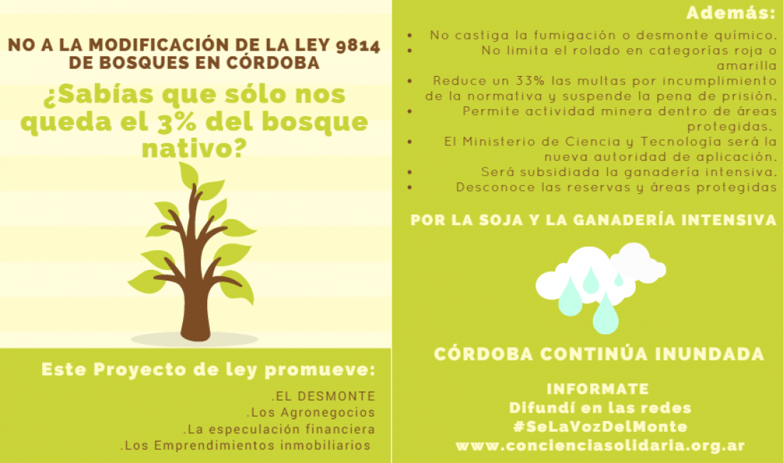 La ONG Conciencia Solidaria advierte sobre la modificación de la Ley de Bosques en Córdoba