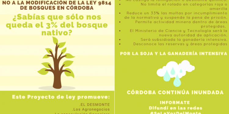 La ONG Conciencia Solidaria advierte sobre la modificación de la Ley de Bosques en Córdoba