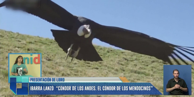 Se lanzó el libro "Cóndor de los Andes. El cóndor de los mendocinos"