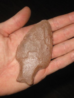 Determinaron que las armas "cola de pescado" causaron la extinción de la megafauna en Sudamérica