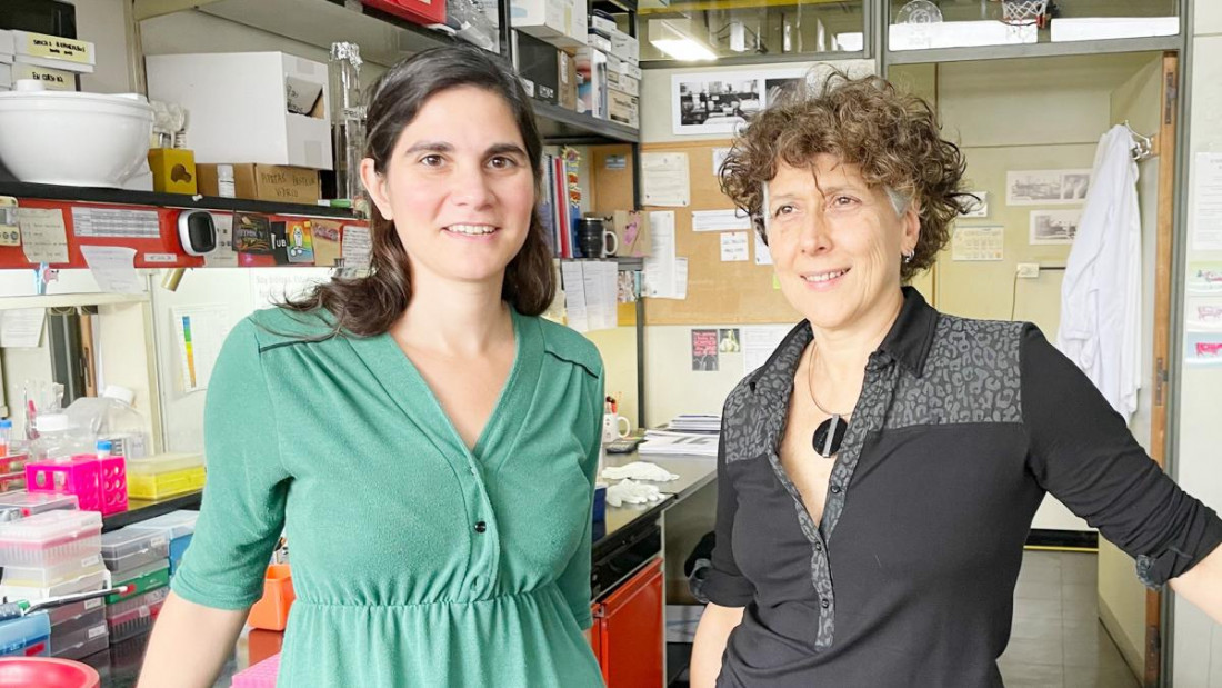 El Conicet abrió una sala virtual dedicada a las mujeres científicas