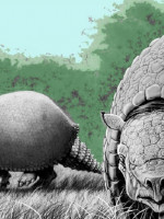 Extinción de la megafauna: la humanidad tuvo mucha más intervención de la que se creía 