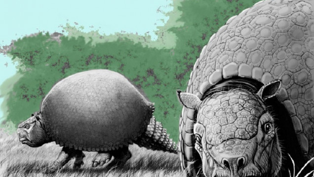 imagen Extinción de la megafauna: la humanidad tuvo mucha más intervención de la que se creía 
