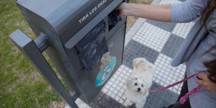 En Capital instalaron contenedores para depositar las heces de las mascotas
