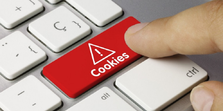 En Argentina, el 42% de las personas acepta "cookies" en sitios web sin saber qué son