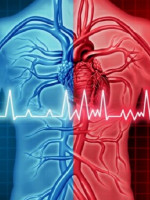 Diseñan herramienta para predecir qué pacientes cardíacos responderán mejor a un  tratamiento