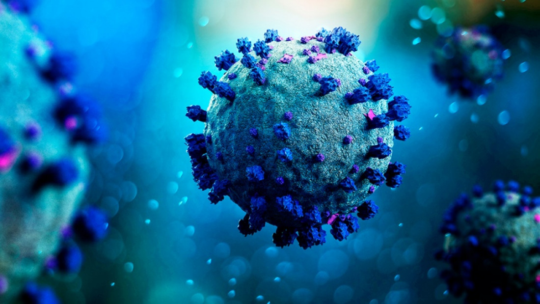 Coronavirus: "Hay que llevar tranquilidad a la población"
