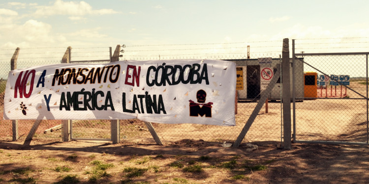 Monsanto se retira de Malvinas Argentinas, según altos ejecutivos de la compañía