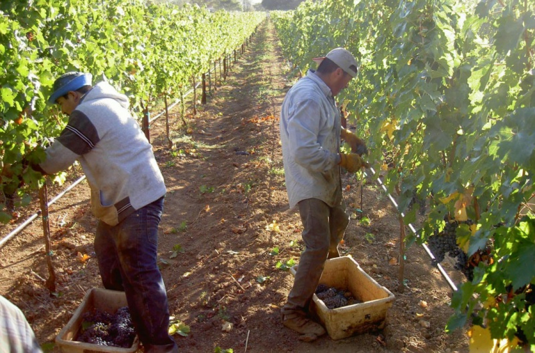 Mendoza acordó con Colombia activar sectores productivos locales