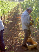 Mendoza acordó con Colombia activar sectores productivos locales