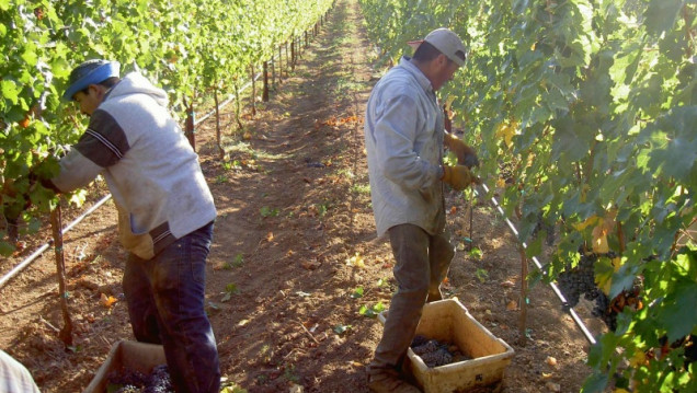 imagen Mendoza acordó con Colombia activar sectores productivos locales