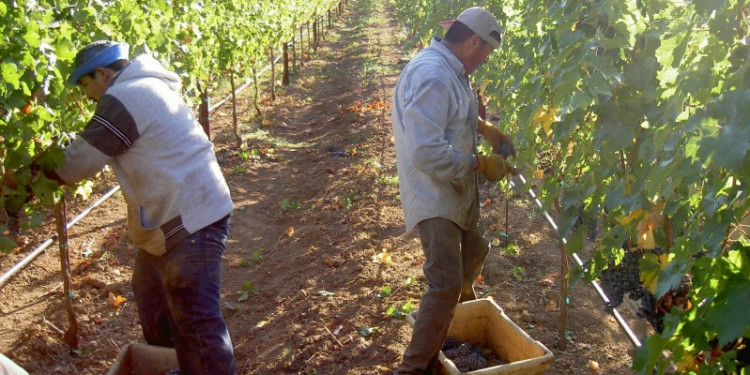 Mendoza acordó con Colombia activar sectores productivos locales