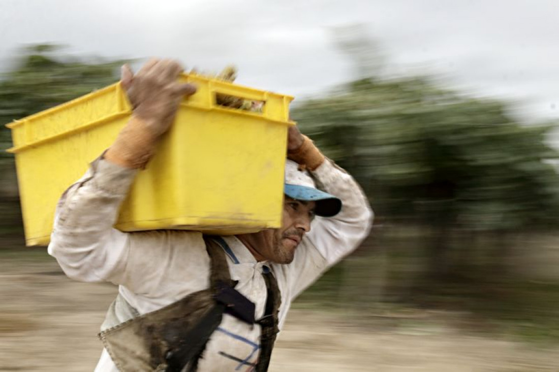 Mendoza está entre las provincias que más productos vendieron al exterior