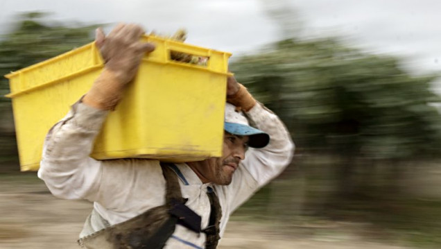 imagen Mendoza está entre las provincias que más productos vendieron al exterior