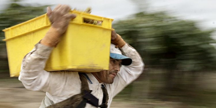 Mendoza está entre las provincias que más productos vendieron al exterior