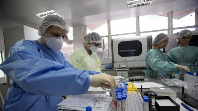 imagen La OMS investiga la nueva subvariante de ómicron que en dos meses se extendió a diez países