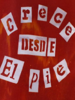 Asociación "Crece desde el Pie" en la columna de Economía Social