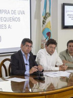 Desde el jueves 13 rige el operativo de compra de uva para mosto en Mendoza