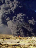 Pronunciamiento de la Organización Malalweche sobre el incendio de Cerro Divisadero