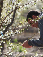 Luego de las heladas, la realidad productiva de Mendoza según la Federación Agraria