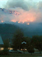 Informe: Incendios en Chubut 
