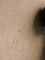Responsabilidades ante los casos de maltrato hacia la niñez