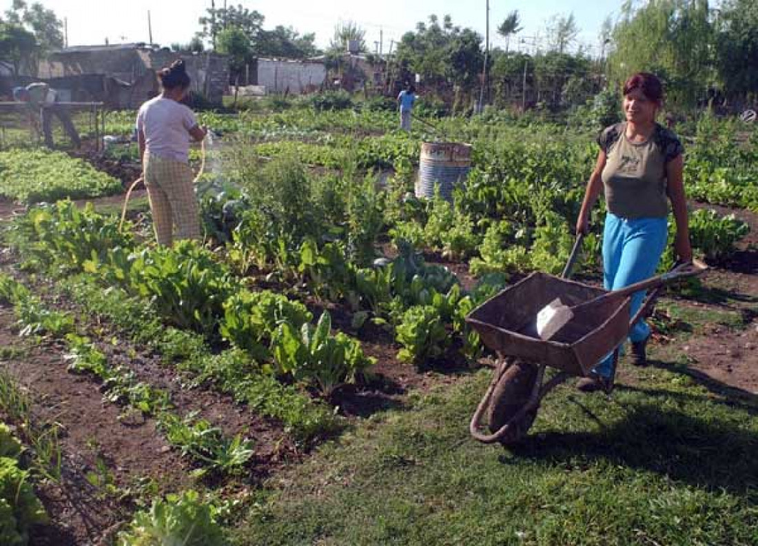 La realidad de los pequeños productores de la provincia desde dos perspectivas