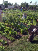 La realidad de los pequeños productores de la provincia desde dos perspectivas