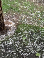 Lluvia y granizo en el Gran Mendoza