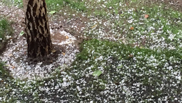 imagen Lluvia y granizo en el Gran Mendoza
