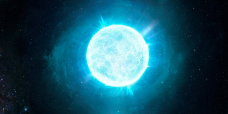 Astrónomos argentinos participaron del descubrimiento de un inusual tipo de estrella