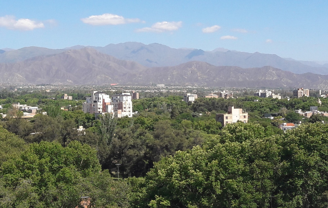 En el Área Metropolitana de Mendoza hay 1 árbol cada 2 personas