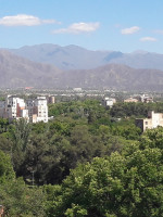 En el Área Metropolitana de Mendoza hay 1 árbol cada 2 personas