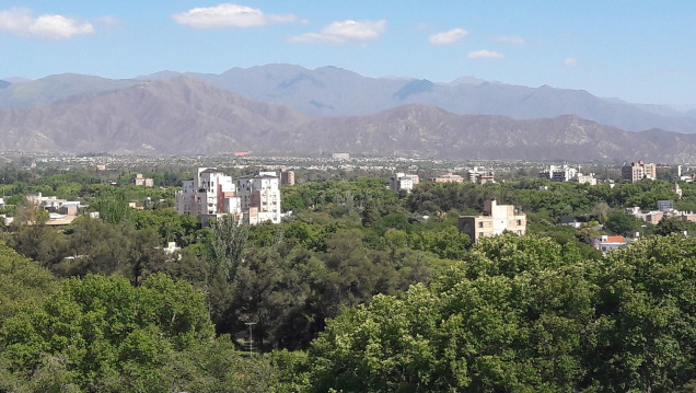 imagen En el Área Metropolitana de Mendoza hay 1 árbol cada 2 personas