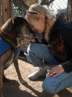 Maltrato animal, una problemática invisibilizada en Mendoza