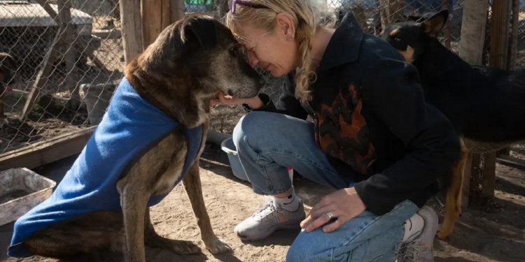 Maltrato animal, una problemática invisibilizada en Mendoza