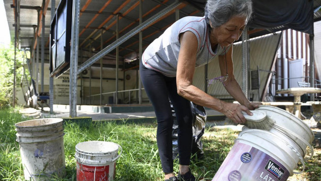 imagen Se registraron 117 casos de dengue en Mendoza y pidieron respetar medidas preventivas