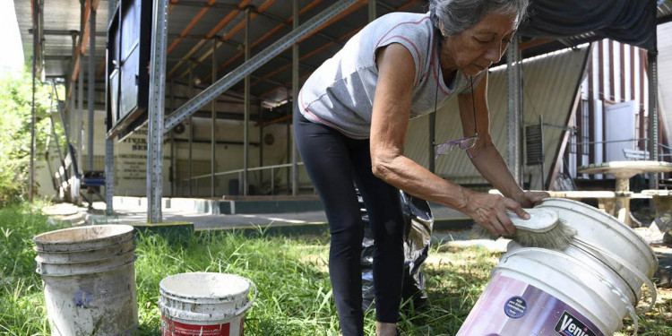 Se registraron 117 casos de dengue en Mendoza y pidieron respetar medidas preventivas